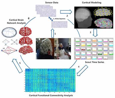 Functional Re-organization of Cortical Networks of Senior Citizens After a 24-Week Traditional Dance Program